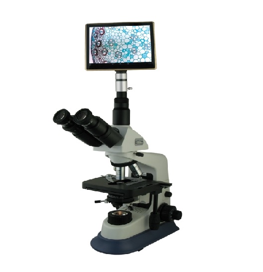 彼爱姆XSP-BM-30AP生物显微镜