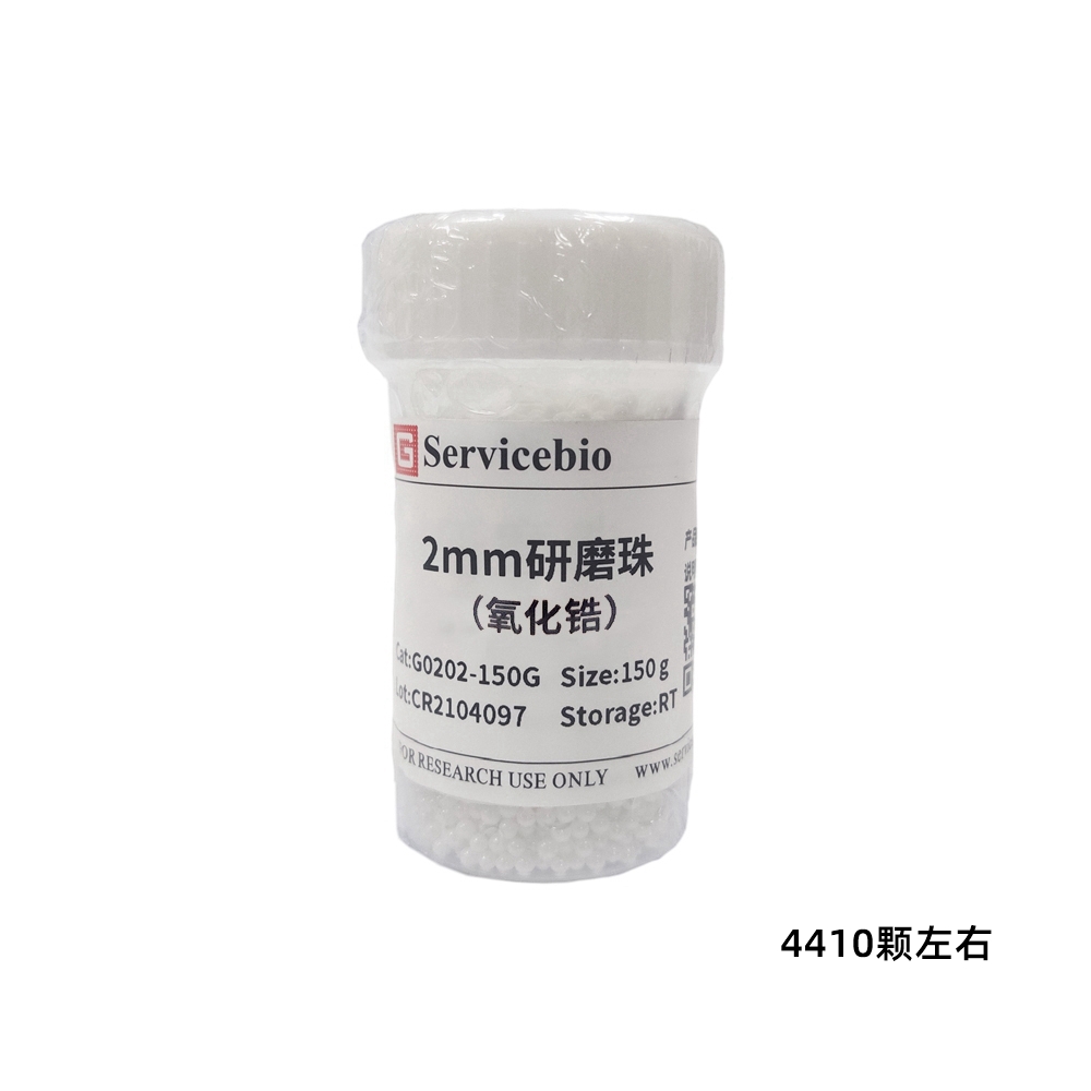 赛维尔 Servicebio G0202-150G 研磨珠（氧化锆）