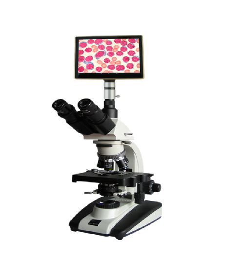 彼爱姆XSP-BM-20AP生物显微镜