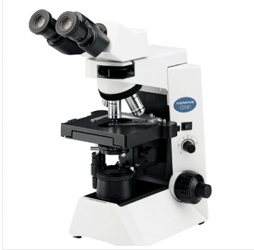 奥林巴斯|OLYMPUS临床级倒置显微镜CKX31双目