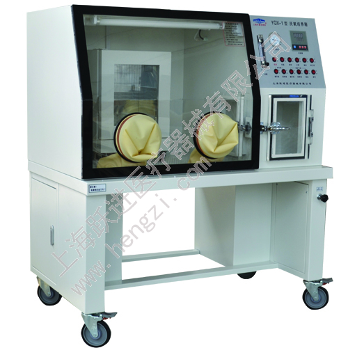 跃进 HENGZI HYQX-I 厌氧培养箱