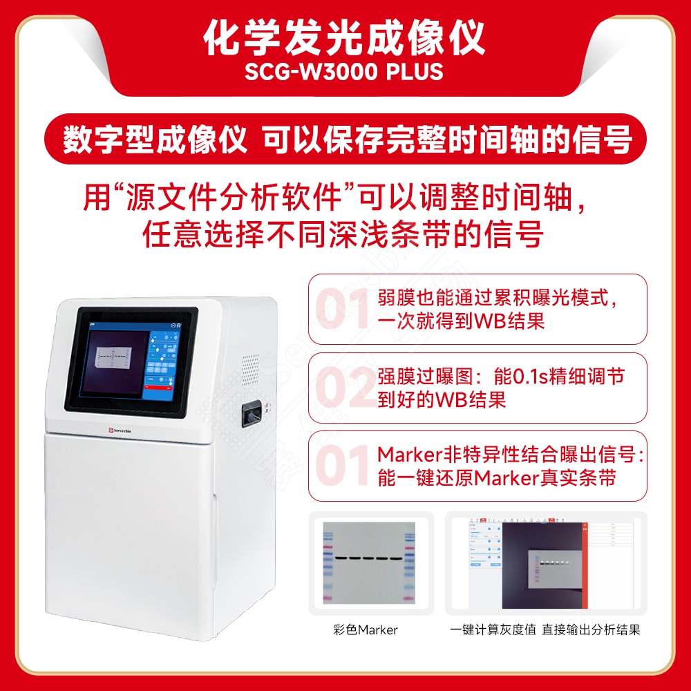 赛维尔 Servicebio SCG-W3000 PLUS 化学发光成像仪