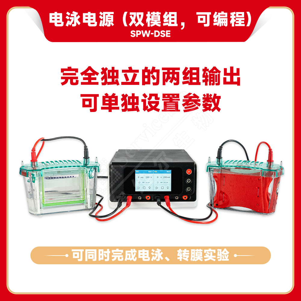 赛维尔 Servicebio SPW-DSE 电泳电源（双模组，可编程）