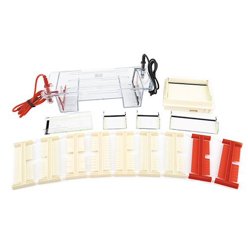 北京六一 DYCP-31DN 琼脂糖水平电泳仪电泳槽