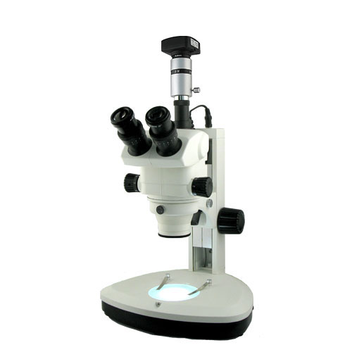 上海彼爱姆 XTL-BM-9TD 电脑连续变倍体视视显微镜