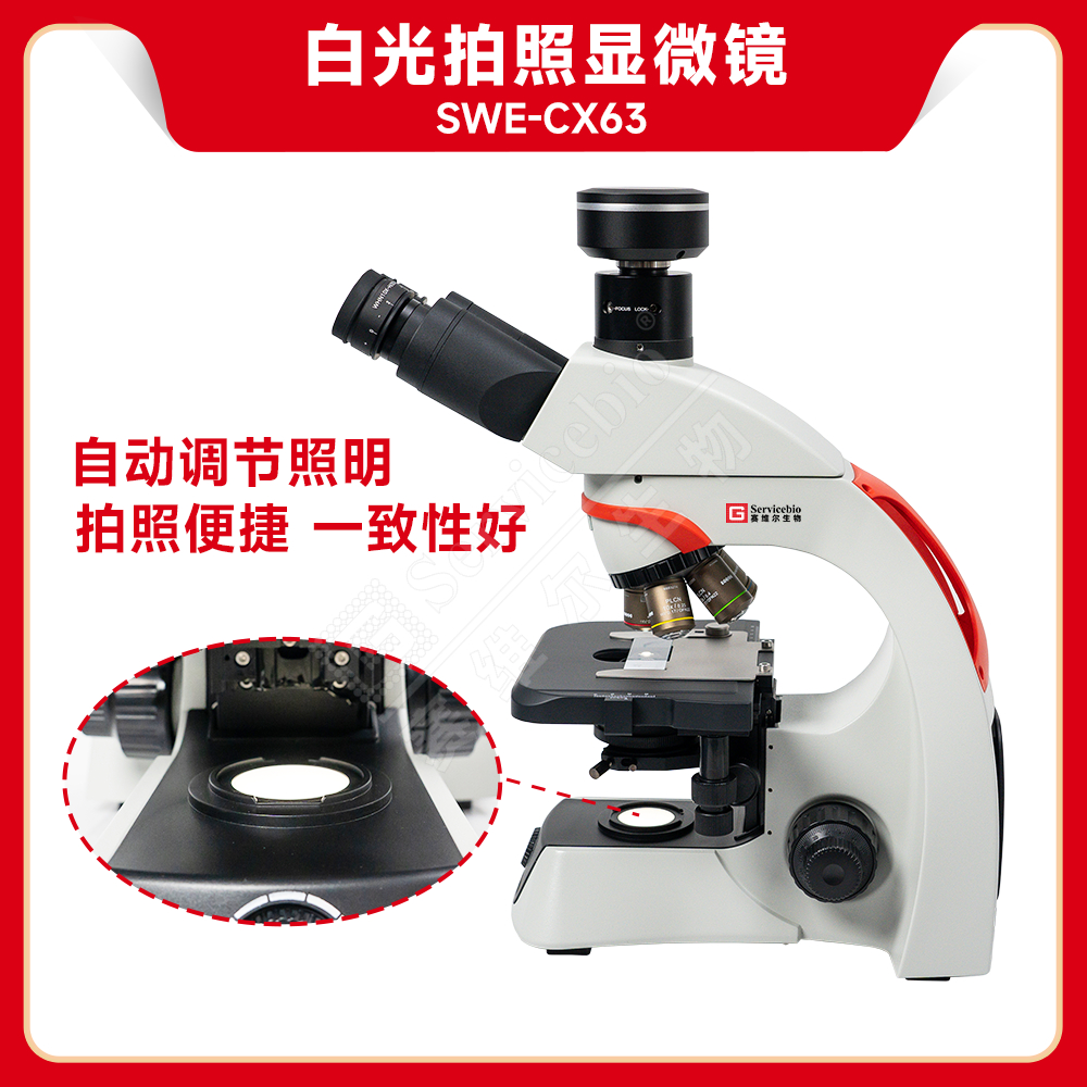 赛维尔 SWE-CX63 白光拍照显微镜