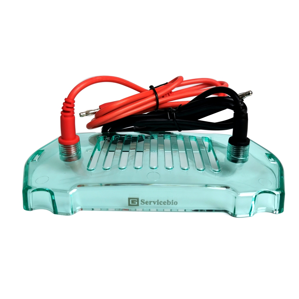 赛维尔 Servicebio SVT-2-HG 电泳仪上盖（含电泳导线）