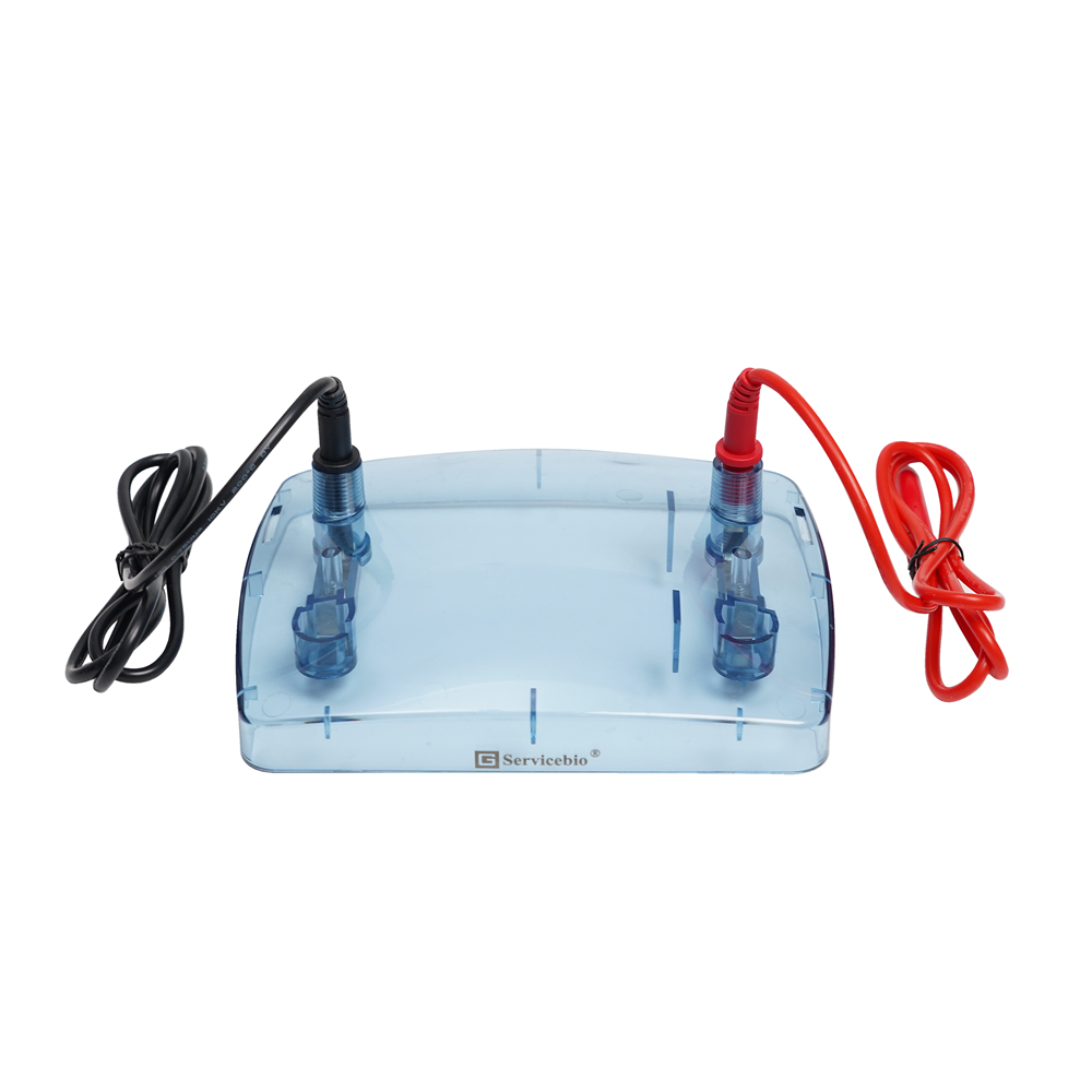 赛维尔 Servicebio BVE-4-HG 电泳仪上盖（含电泳导线）