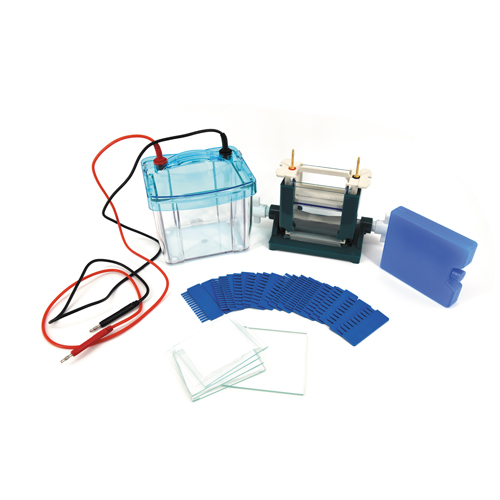 北京六一 DYCZ-25D 双垂直电泳仪