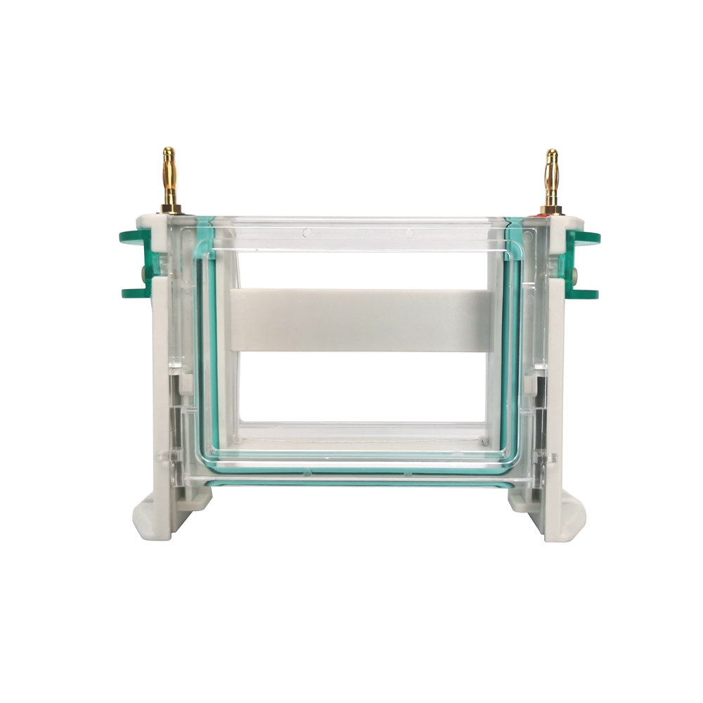 赛维尔 Servicebio SVE-2-ZT 电泳仪主体（含铂金丝）