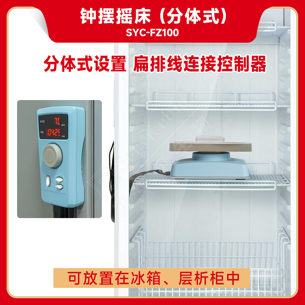 赛维尔 钟摆摇床（分体式）SYC-FZ100