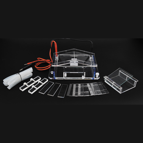 北京六一 DYCP-31A 脂糖水平电泳仪电泳槽核酸电泳仪（微型）