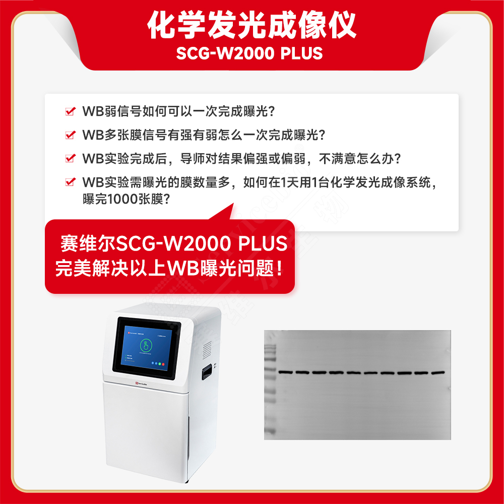 赛维尔 Servicebio SCG-W2000 PLUS 化学发光成像仪