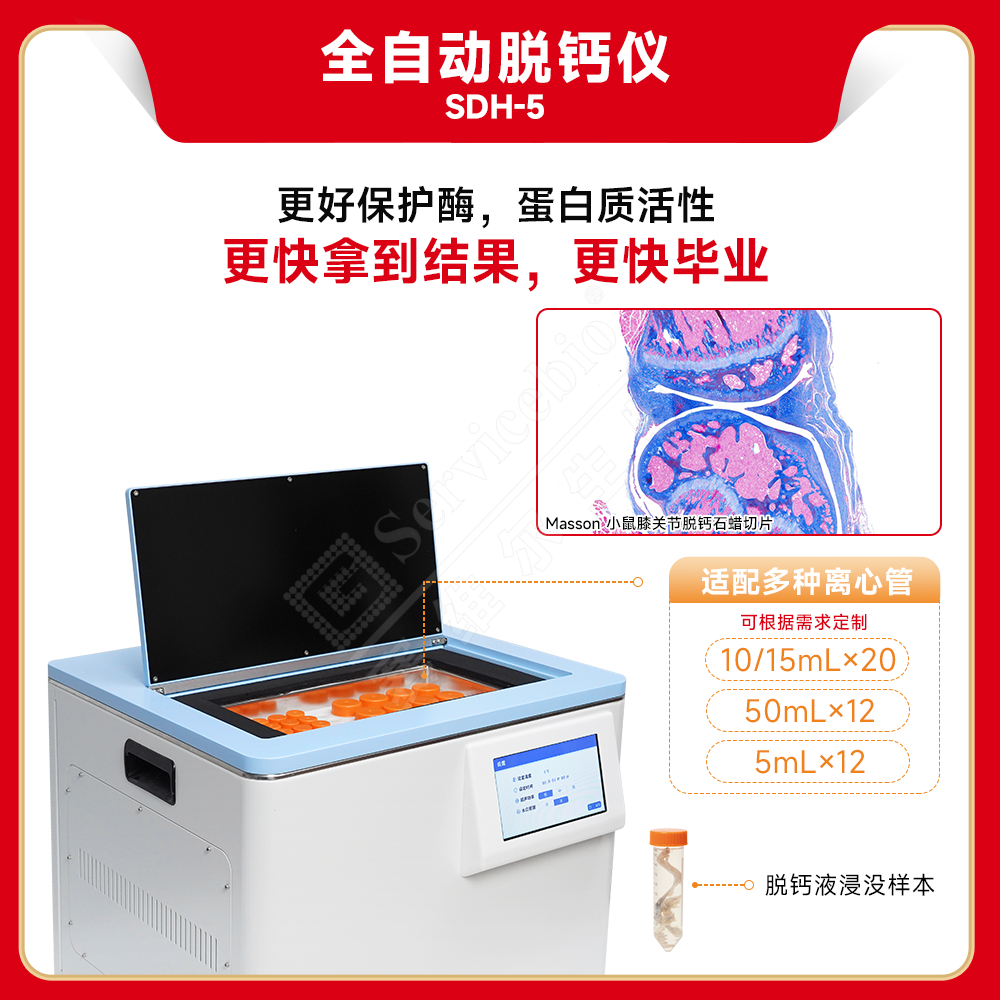 赛维尔 全自动脱钙仪 SDH-5