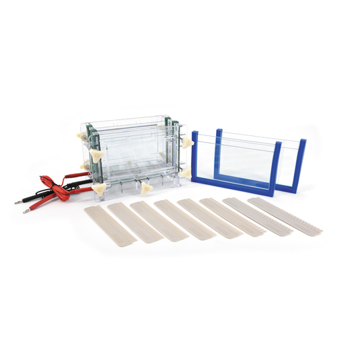 北京六一 DYCZ-30C 双板夹芯式垂直电泳仪电泳槽