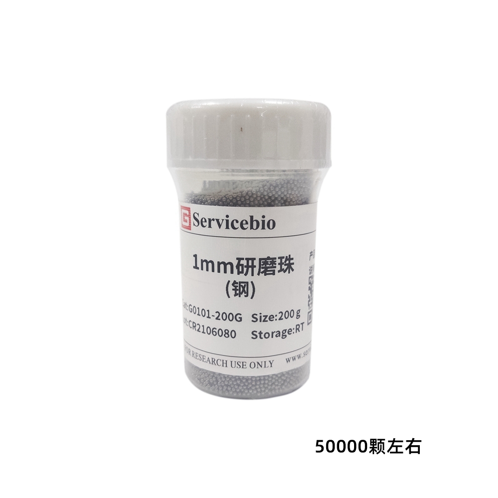 赛维尔 Servicebio G0101-200G 研磨珠（钢）