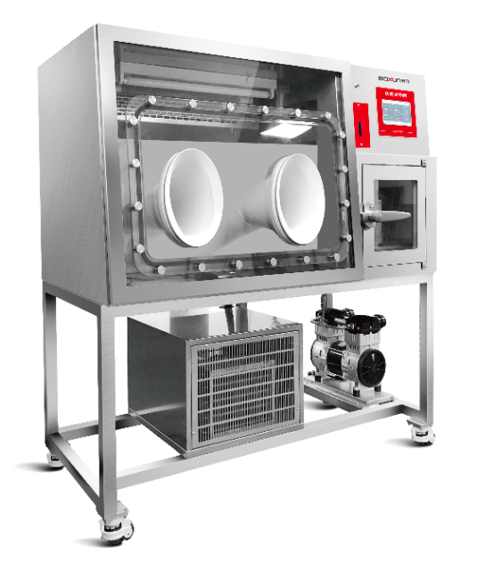 上海博迅 Boxun BXAW-TS-L 厌氧培养箱