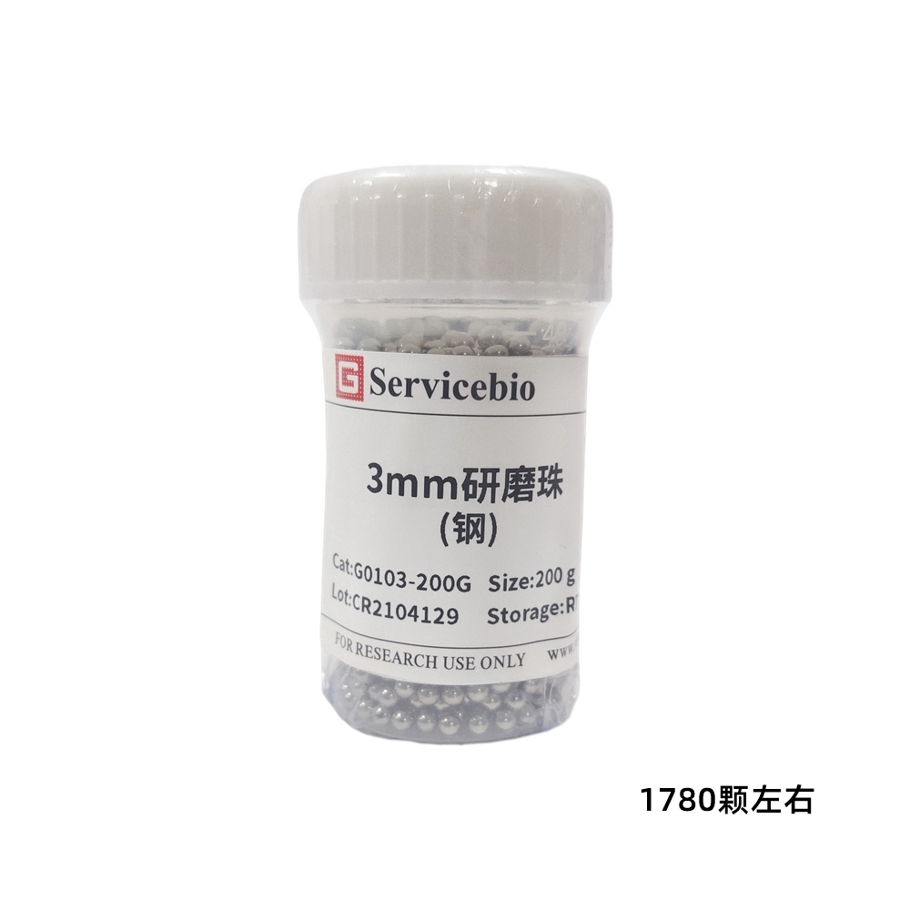 赛维尔 Servicebio G0103-200G 研磨珠（钢）