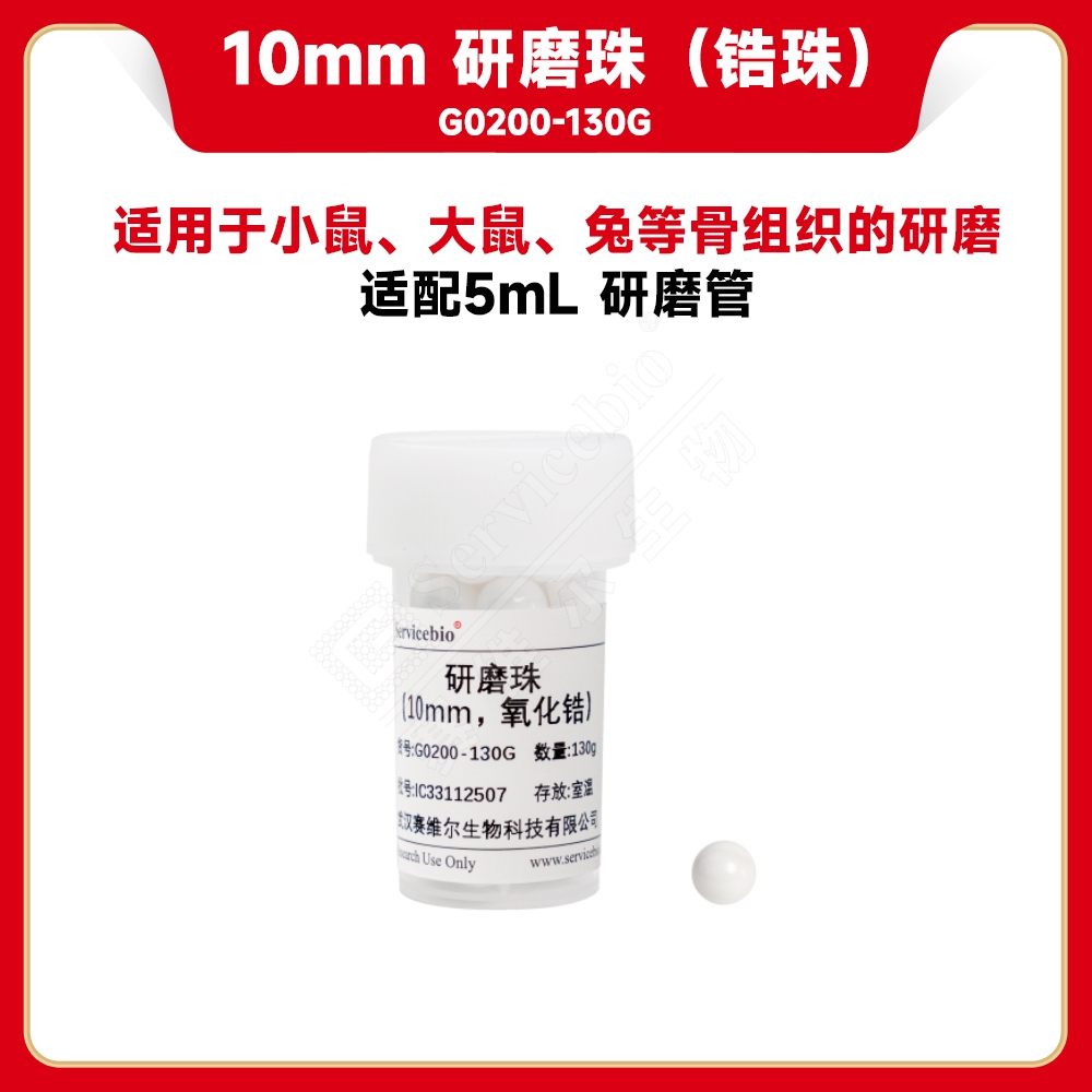 赛维尔 Servicebio G0200-130G 研磨珠（氧化锆）