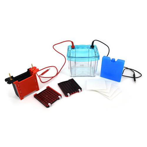 北京六一 DYCZ-40G 转印电泳仪电泳槽