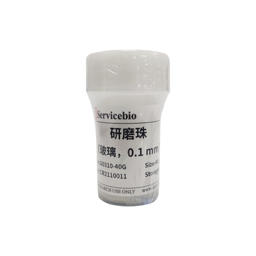 赛维尔 Servicebio G0310-40G 研磨珠（玻璃）