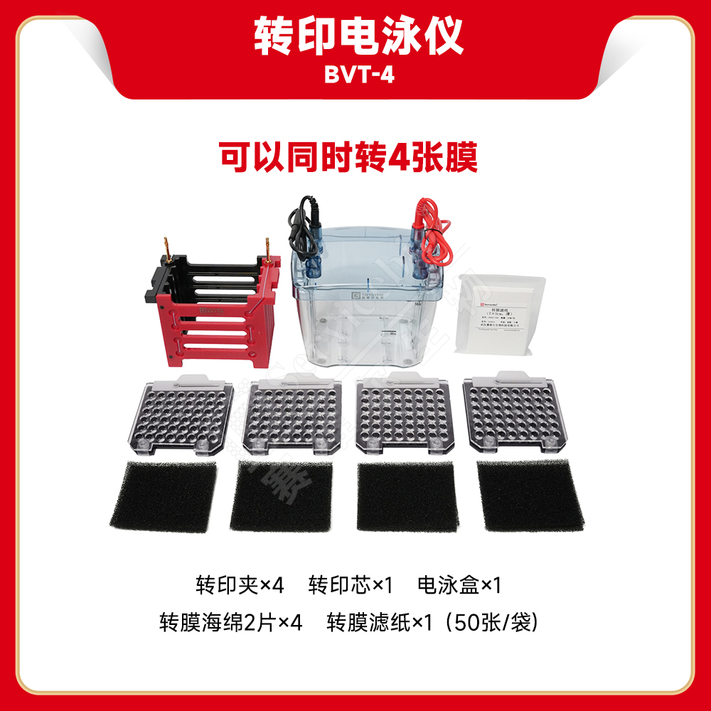 赛维尔 Servicebio BVT-4 转印电泳仪