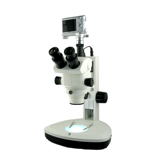 上海彼爱姆 XTL-BM-9TS 数码连续变倍体视视显微镜
