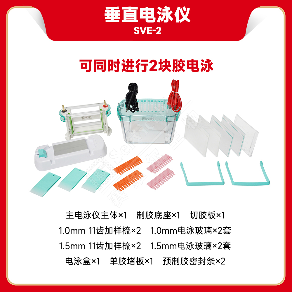 赛维尔 Servicebio SVE-2 垂直电泳仪