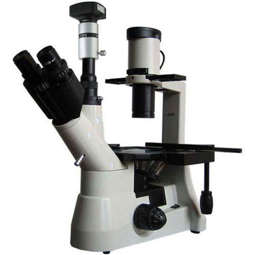 彼爱姆BM-37XCD生物显微镜