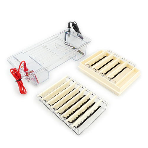 北京六一 DYCP-32B 琼脂糖水平电泳仪电泳槽