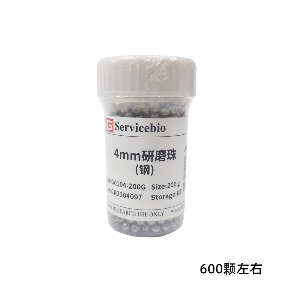 赛维尔 Servicebio G0104-200G 研磨珠（钢）