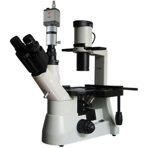彼爱姆BM-37XCC生物显微镜