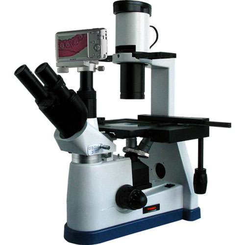 上海彼爱姆 BM-37XBS 数码倒置生物显微镜