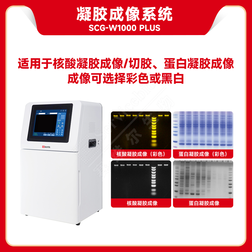 赛维尔 Servicebio SCG-W1000 PLUS 凝胶成像系统
