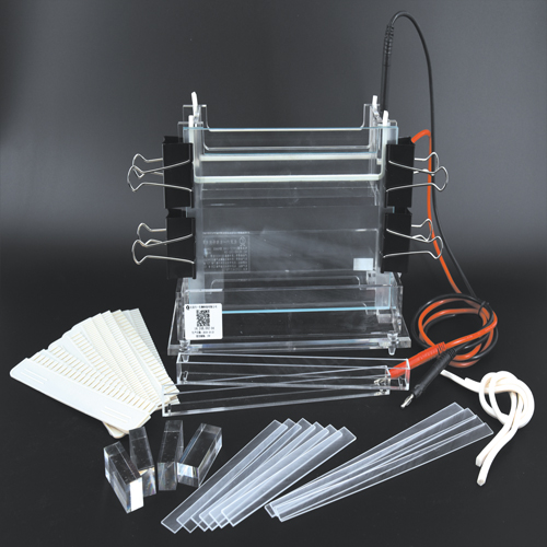 北京六一 DYCZ-24B 加宽双垂直电泳槽电泳仪