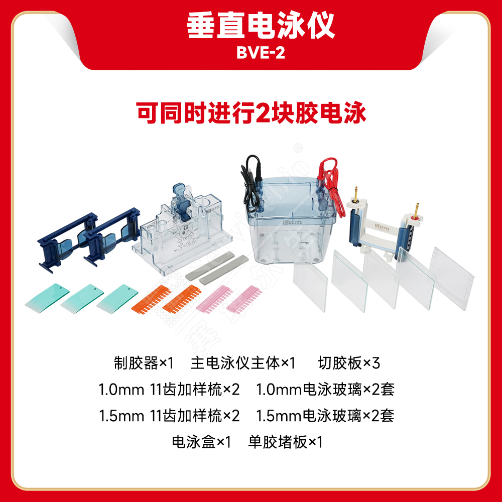 赛维尔 Servicebio BVE-2 垂直电泳仪