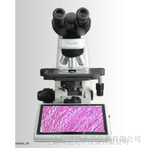 上海缔伦生物显微镜TL5000