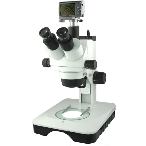 上海彼爱姆 XTZ-ES 数码连续变倍体视微镜