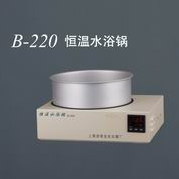 上海亚荣恒温水浴锅B-220