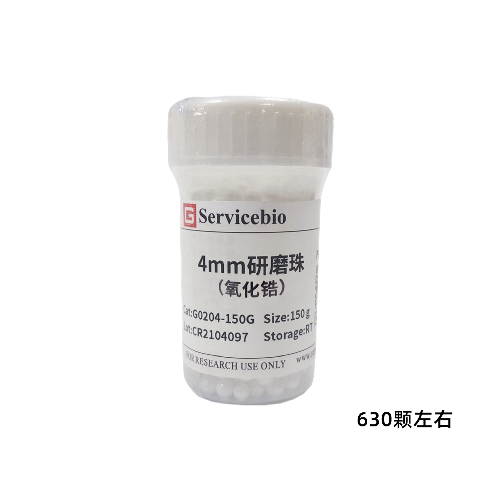 赛维尔 Servicebio G0204-150G 研磨珠（氧化锆）