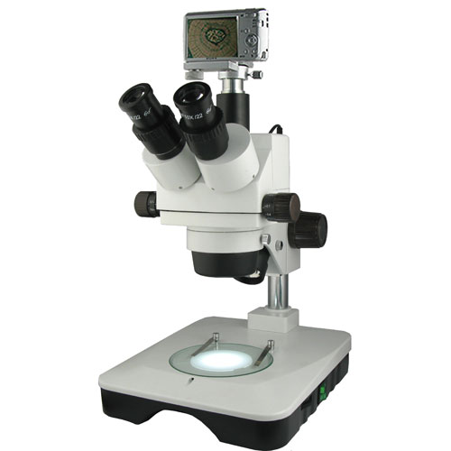上海彼爱姆 XTZ-EAS 数码连续变倍体视微镜
