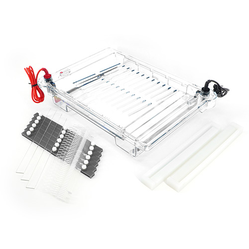 北京六一 DYCP-32C 琼脂糖水平电泳仪 核酸电泳仪 电泳槽(大号)