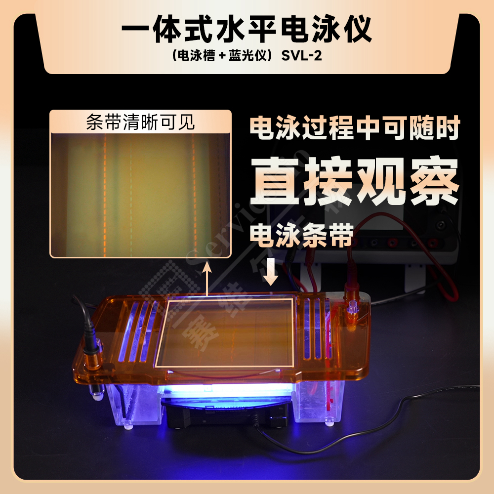 赛维尔 Servicebio SVL-2 一体式水平电泳仪