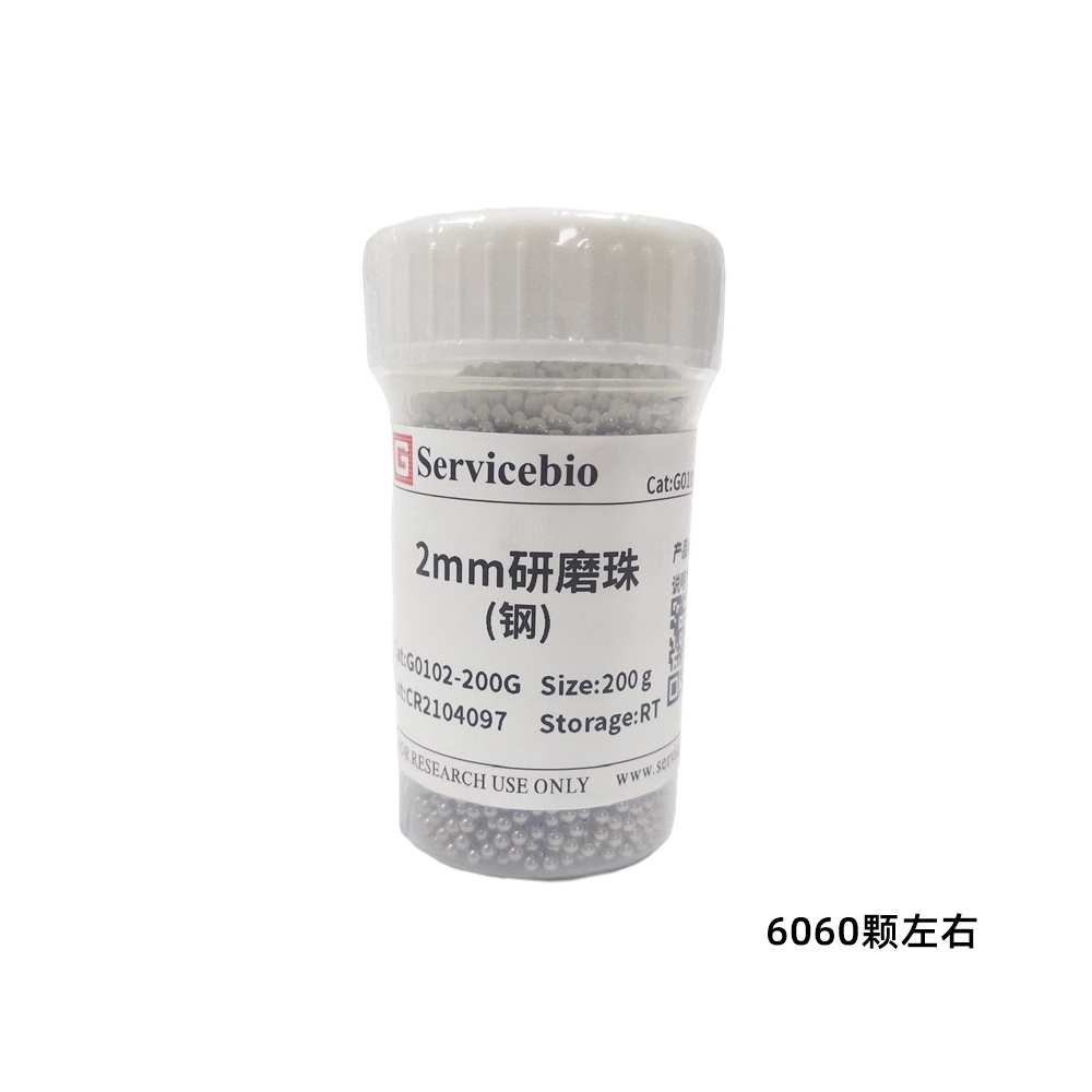 赛维尔 Servicebio G0102-200G 研磨珠（钢）