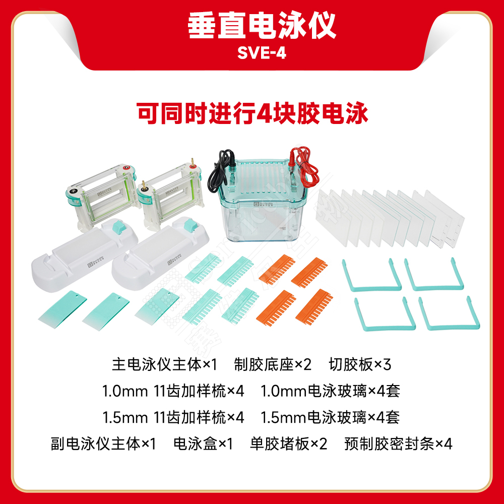 赛维尔 Servicebio SVE-4 垂直电泳仪