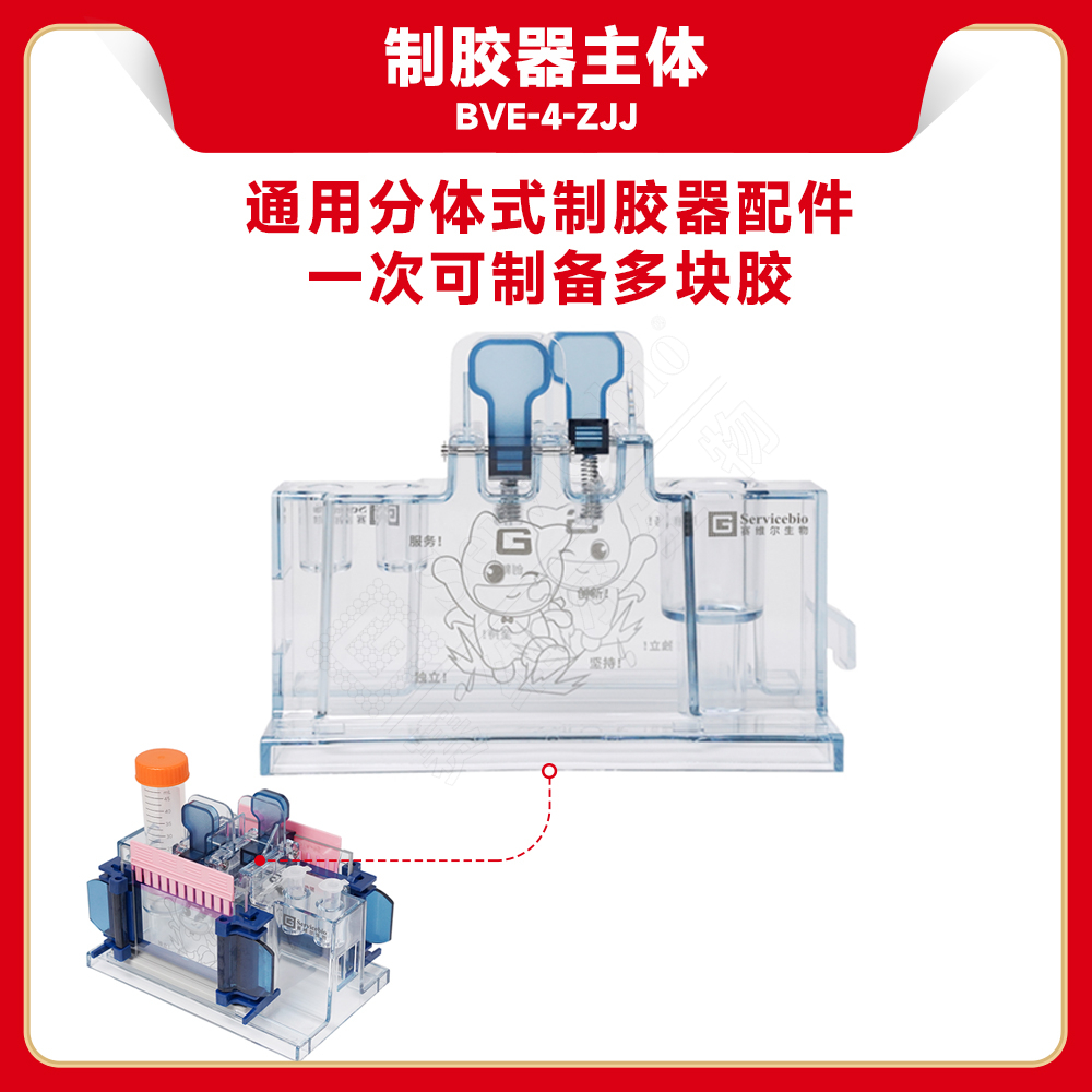 赛维尔 Servicebio BVE-4-ZJJ 制胶器主体