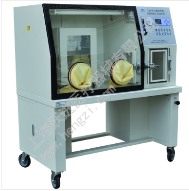 跃进 HENGZI HYQX-III 厌氧培养箱