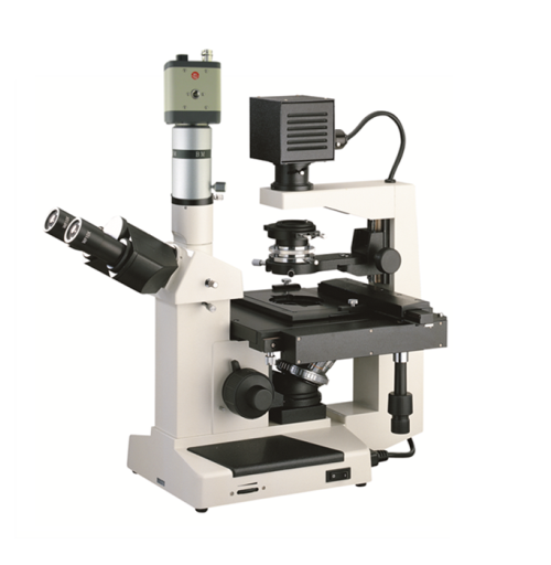 彼爱姆BM-37XFC倒置生物显微镜（电脑）
