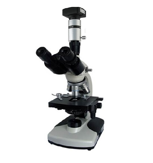 上海彼爱姆 BM-11D 简易偏光显微镜