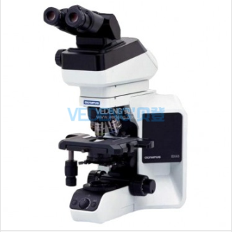 奥林巴斯 OLYMPUS BX43 研究级正置三目显微镜